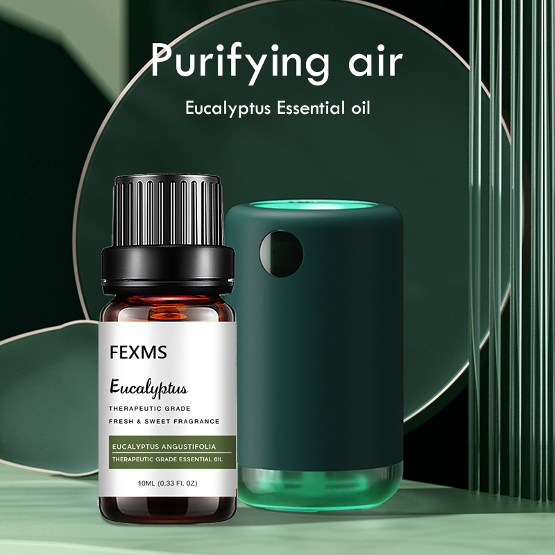 Eucalyptus Essential Oil (100% - Home Fragrance Eucalyptus 评论和价格