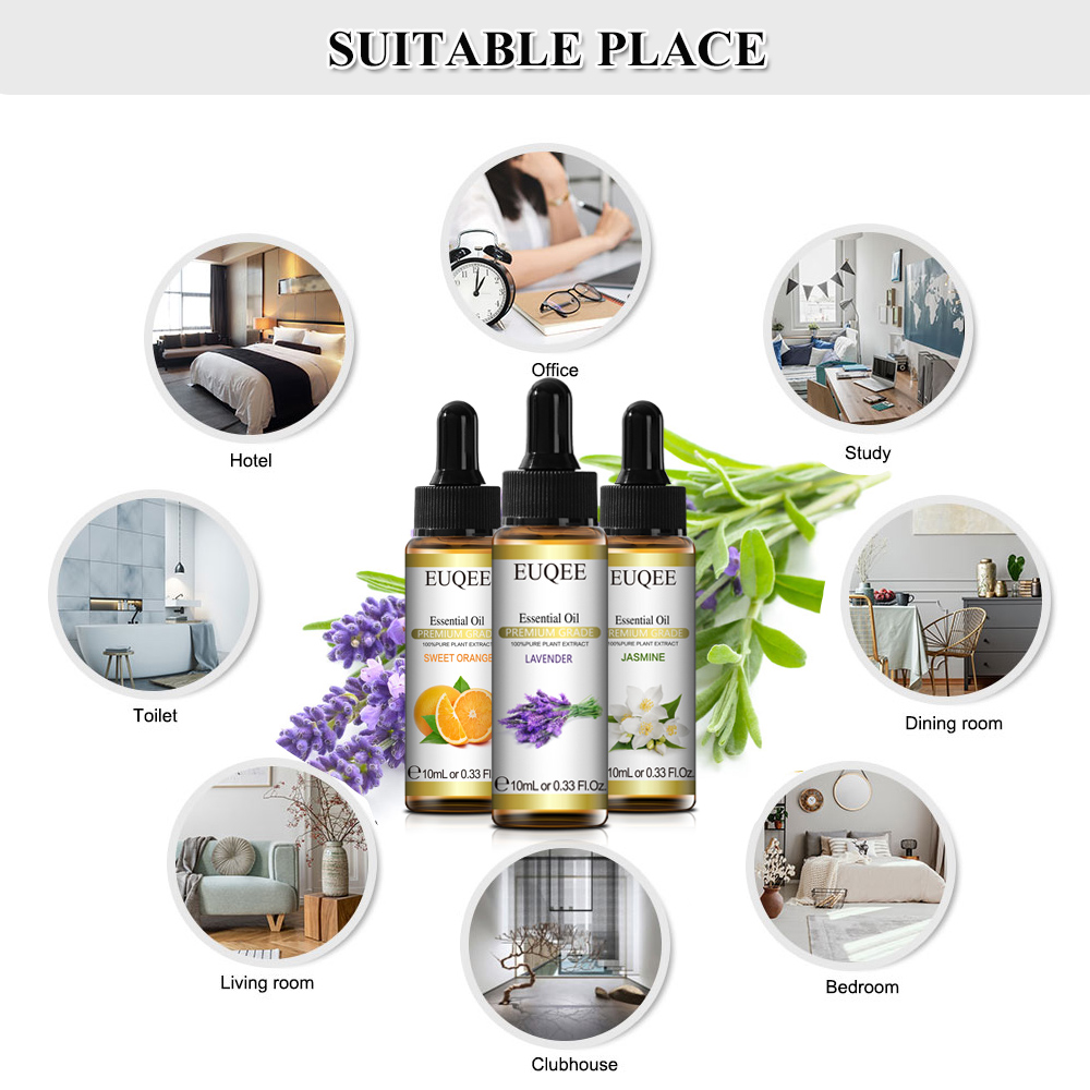 EUQEE 10ml Natural Plant Essen - Home Fragrance Eucalyptus 评论和价格